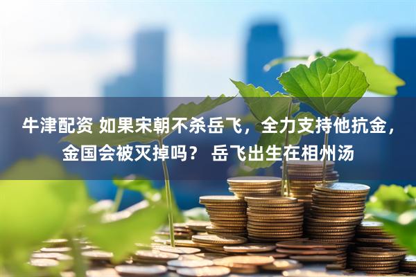 牛津配资 如果宋朝不杀岳飞，全力支持他抗金，金国会被灭掉吗？ 岳飞出生在相州汤